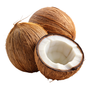 Coconut