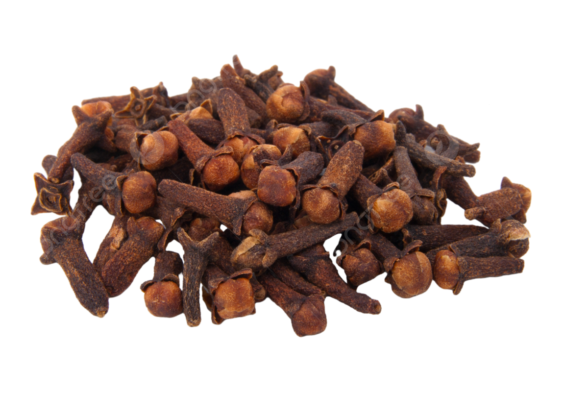 Clove