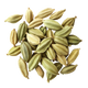 Cardamom